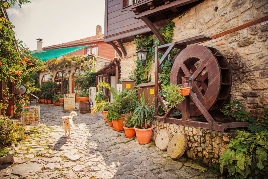 Culutuur sunny beach, nessebar maarkt